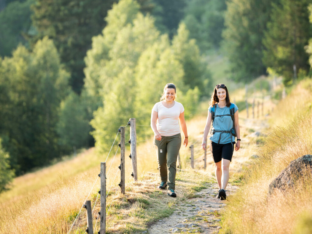 Wanderpaar auf einem Waldweg